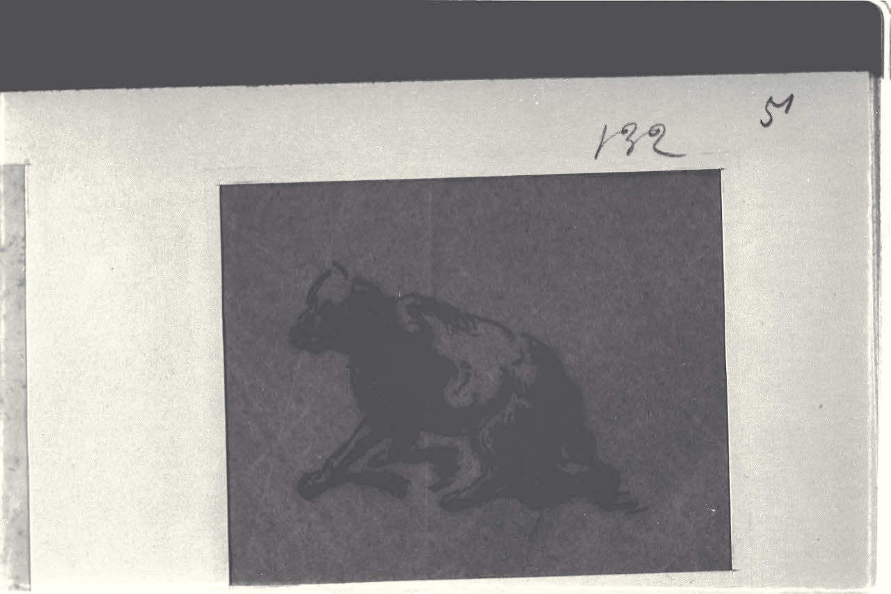 Cane, Cane (disegno) di Durini, Alessandro (sec. XIX)