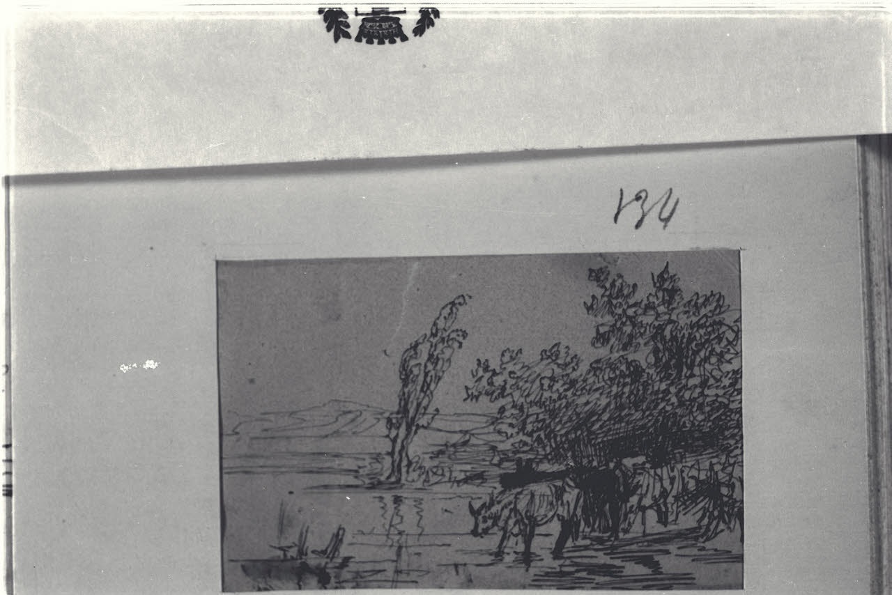 Paesaggio con bovini, Paesaggio con bovini (disegno) di Durini, Alessandro (sec. XIX)