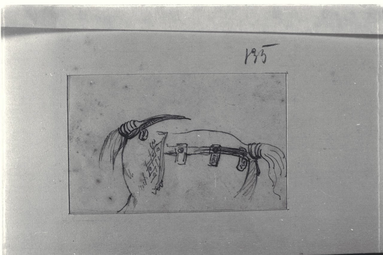 Particolare di paramento di cavallo, Particolare di paramento di cavallo (disegno) di Durini, Alessandro (sec. XIX)