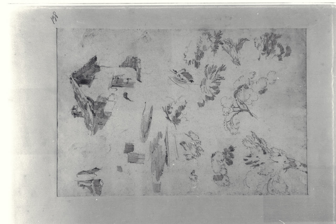 Casa rurale e schizzi di vegetali, Casa rurale e schizzi di vegetali (disegno) di Durini, Alessandro (sec. XIX)