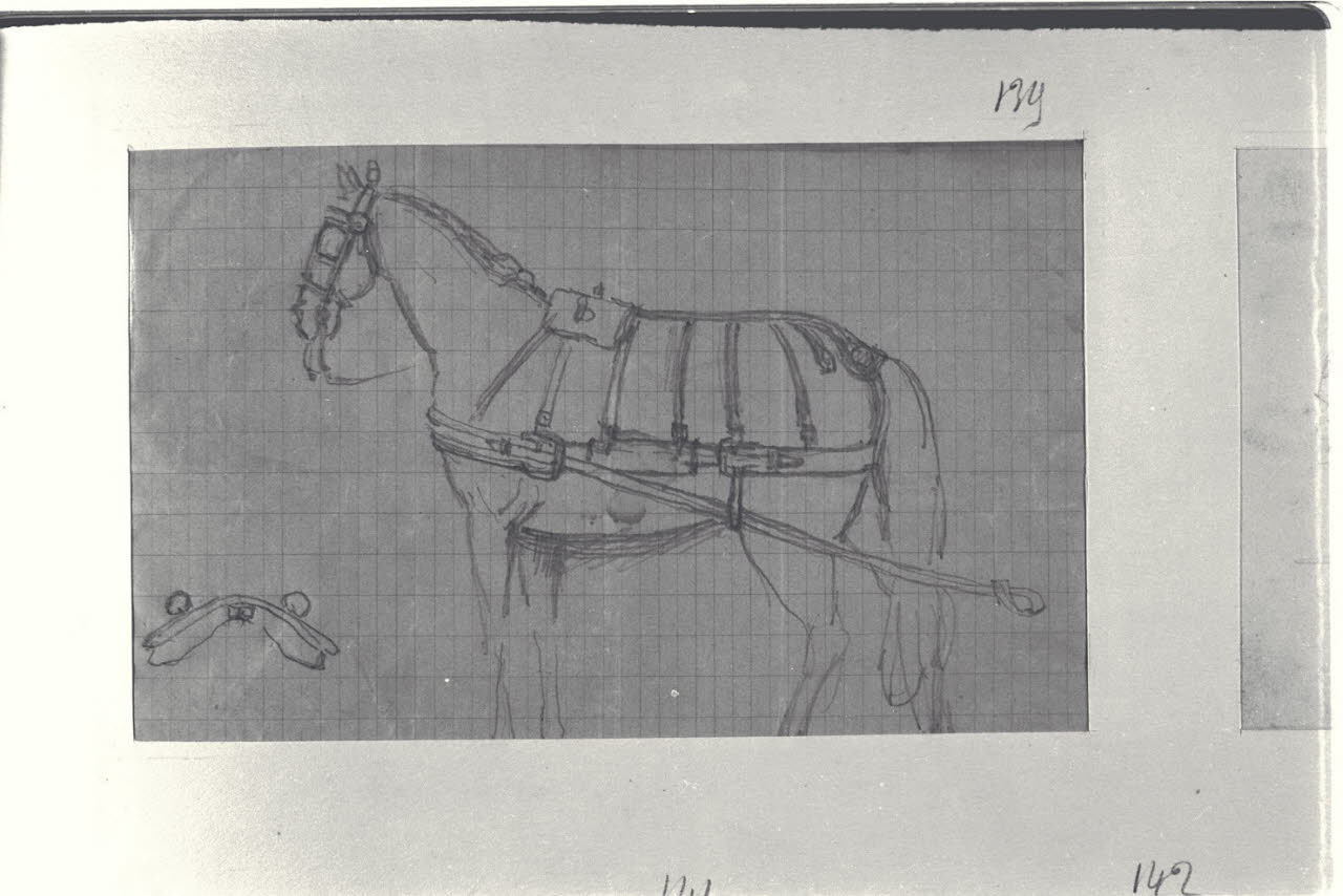 Cavallo, Cavallo (disegno) di Durini, Alessandro (sec. XIX)