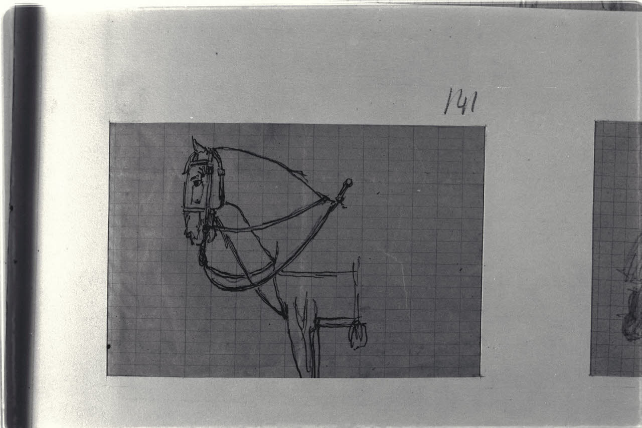 Muso e busto di un cavallo, Muso e busto di un cavallo (disegno) di Durini, Alessandro (sec. XIX)