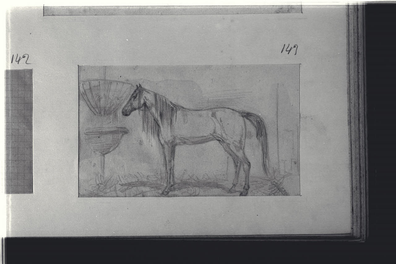 Cavallo, Cavallo (disegno) di Durini, Alessandro (sec. XIX)