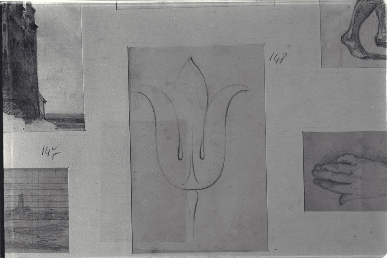 Motivo ornamentale, Motivo ornamentale (disegno) di Durini, Alessandro (sec. XIX)