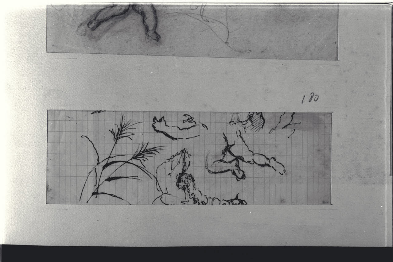 Arbusti e amorino, Arbusti e amorino (disegno) di Durini, Alessandro (sec. XIX)