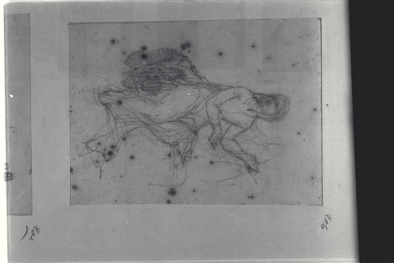 Figura femminile, Figura femminile (disegno) di Durini, Alessandro (sec. XIX)