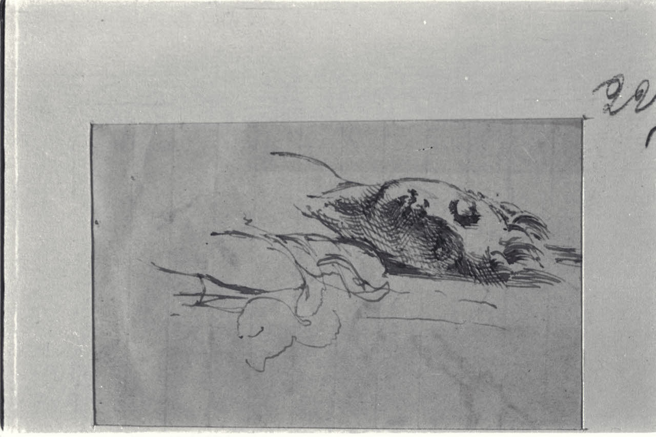 Figura femminile dormiente, Figura femminile dormiente (disegno) di Durini, Alessandro (sec. XIX)