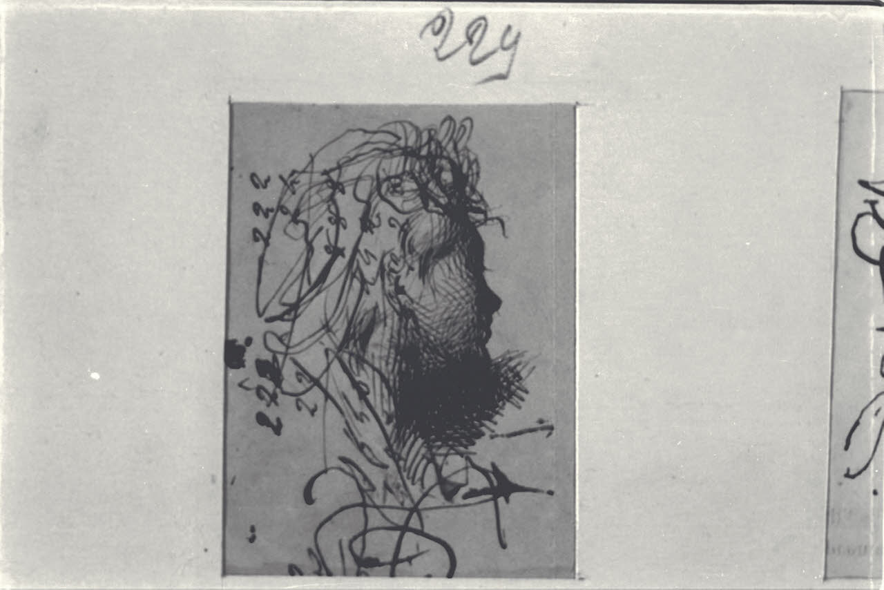 Studio di testa femminile, Studio di testa femminile (disegno) di Durini, Alessandro (sec. XIX)