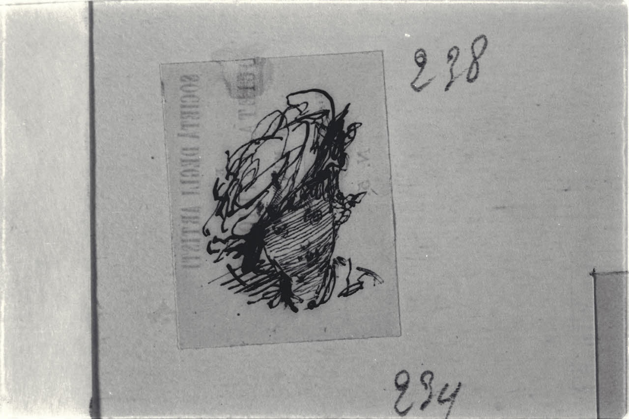 Studietto di testa femminile, Studietto di testa femminile (disegno) di Durini, Alessandro (sec. XIX)