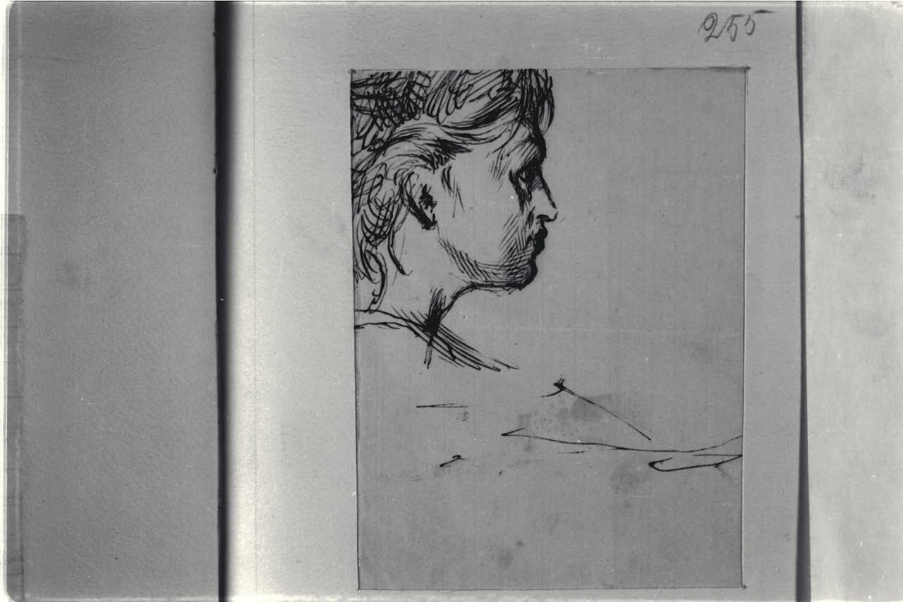 Profilo femminile, Profilo femminile (disegno) di Durini, Alessandro (sec. XIX)