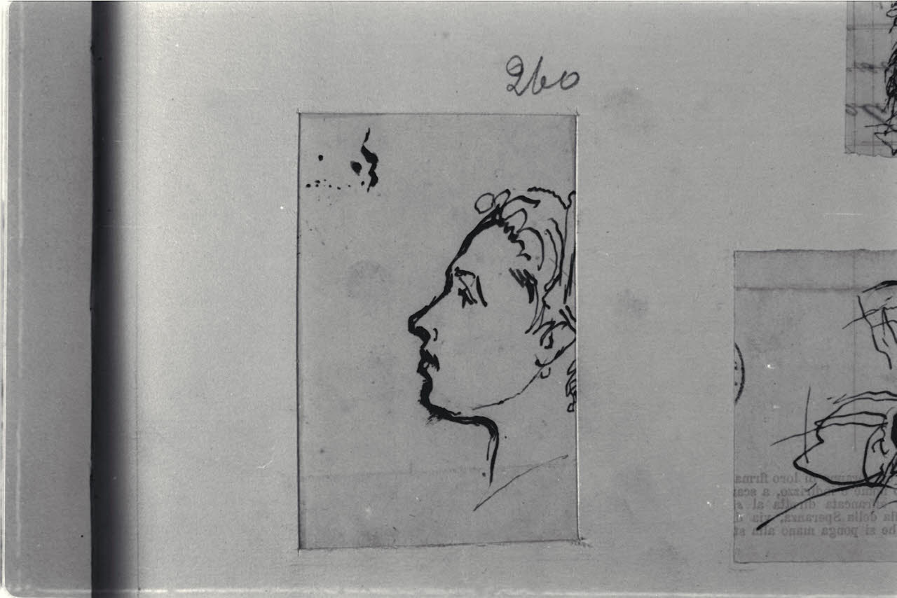 Profilo femminile, Profilo femminile (disegno) di Durini, Alessandro (sec. XIX)