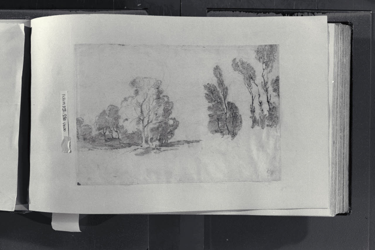 Alberi, Alberi (disegno) di Durini, Alessandro (sec. XIX)