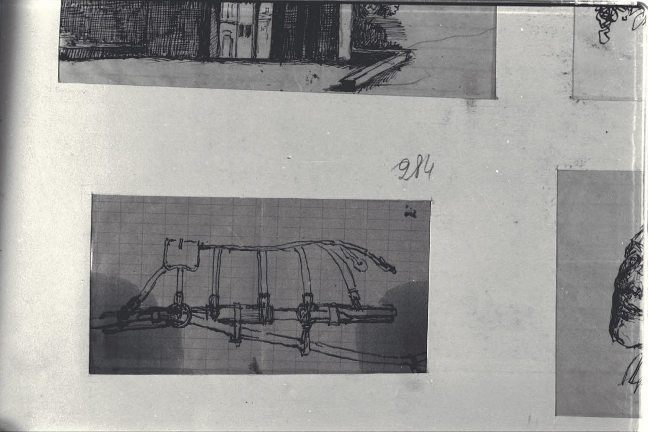 Paramento per cavallo, Paramento per cavallo (disegno) di Durini, Alessandro (sec. XIX)