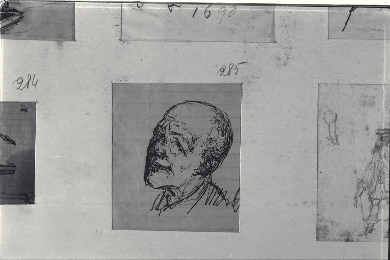 Testa maschile, Testa maschile (disegno) di Durini, Alessandro (sec. XIX)