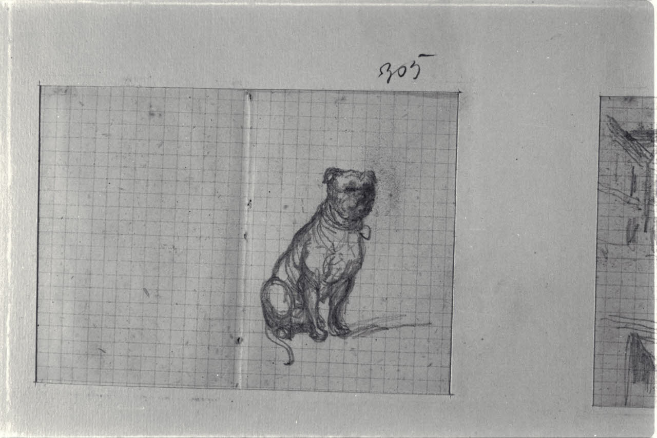 Cagnolino, Cagnolino (disegno) di Durini, Alessandro (sec. XIX)