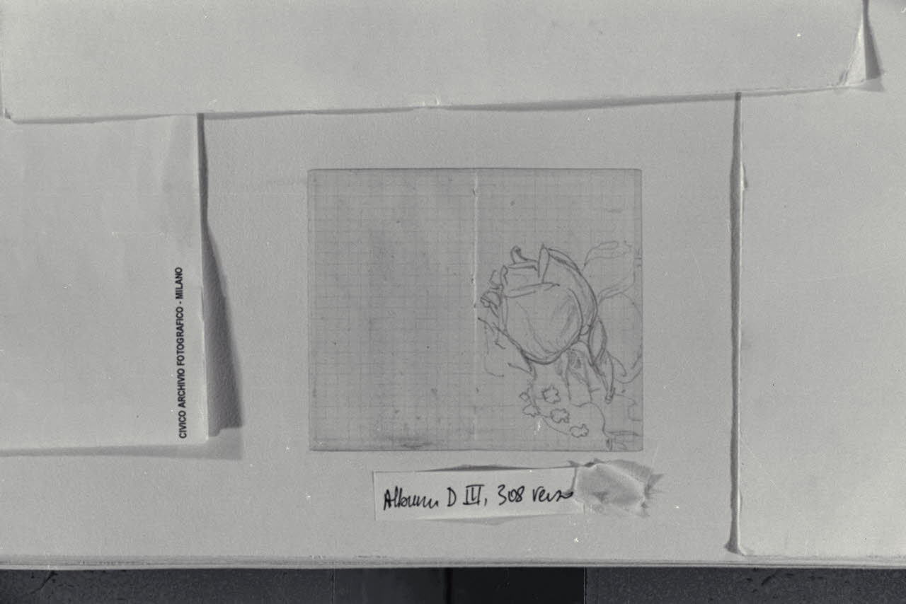 Studio di fiori, Studio di fiori (disegno) di Durini, Alessandro (sec. XIX)