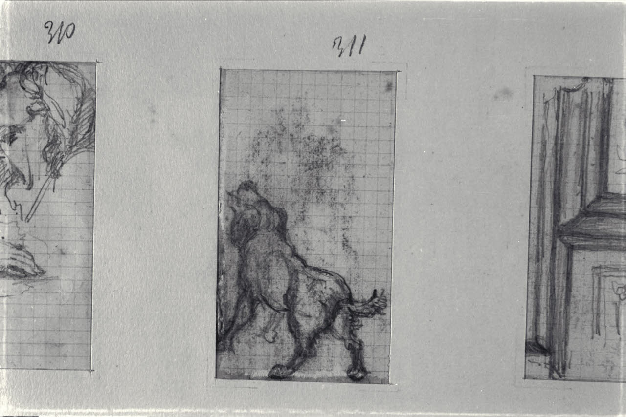 Studio di cane, Studio di cane (disegno) di Durini, Alessandro (sec. XIX)