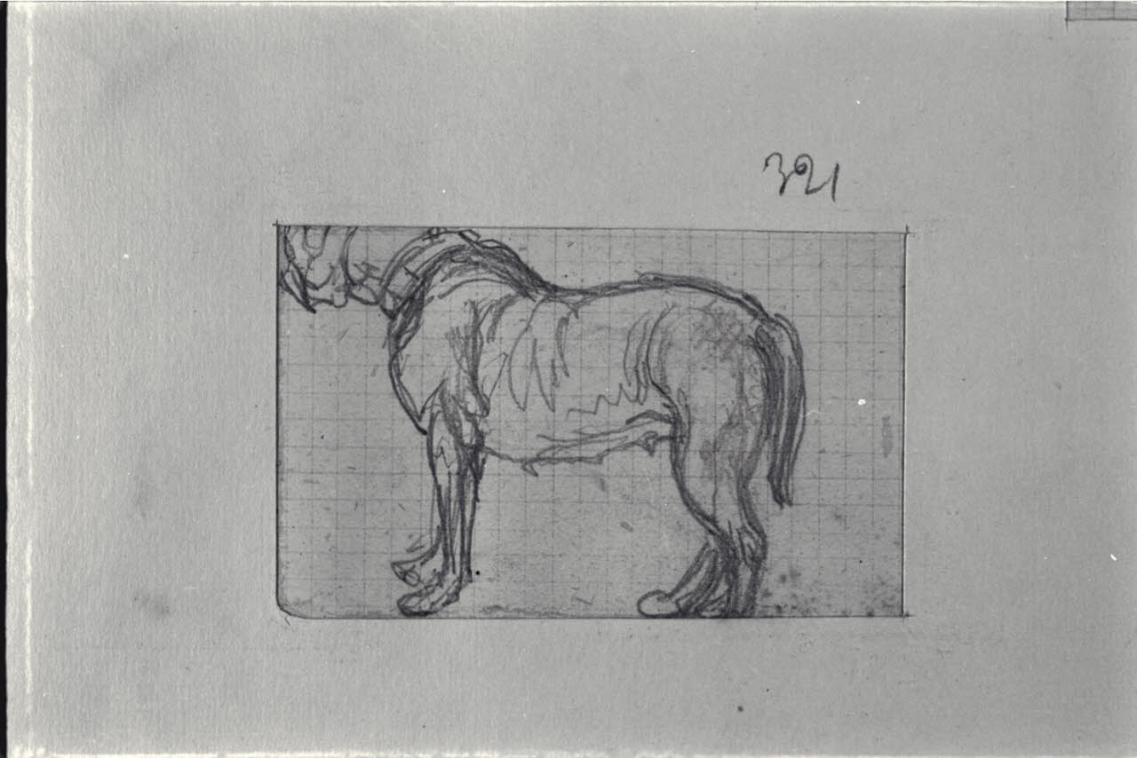 Studio di cane, Studio di cane (disegno) di Durini, Alessandro (sec. XIX)