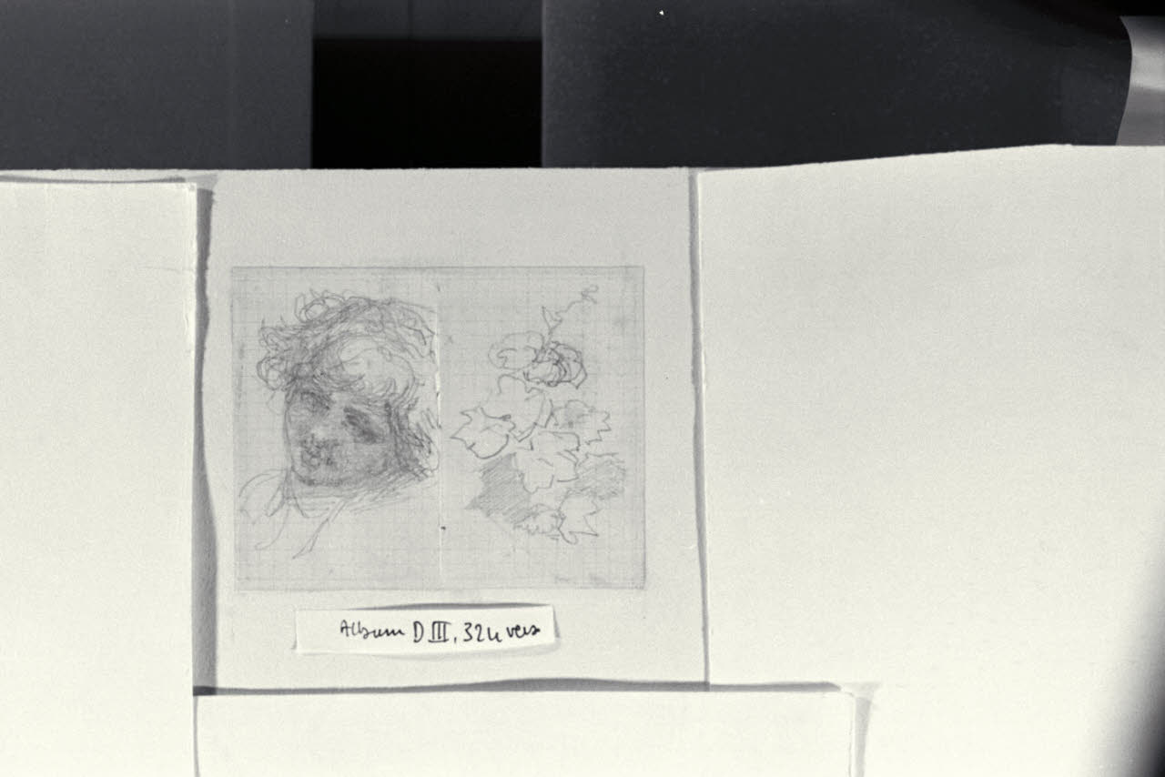 Studio di foglie e testa di bambino, Studio di foglie e testa di bambino (disegno) di Durini, Alessandro (sec. XIX)