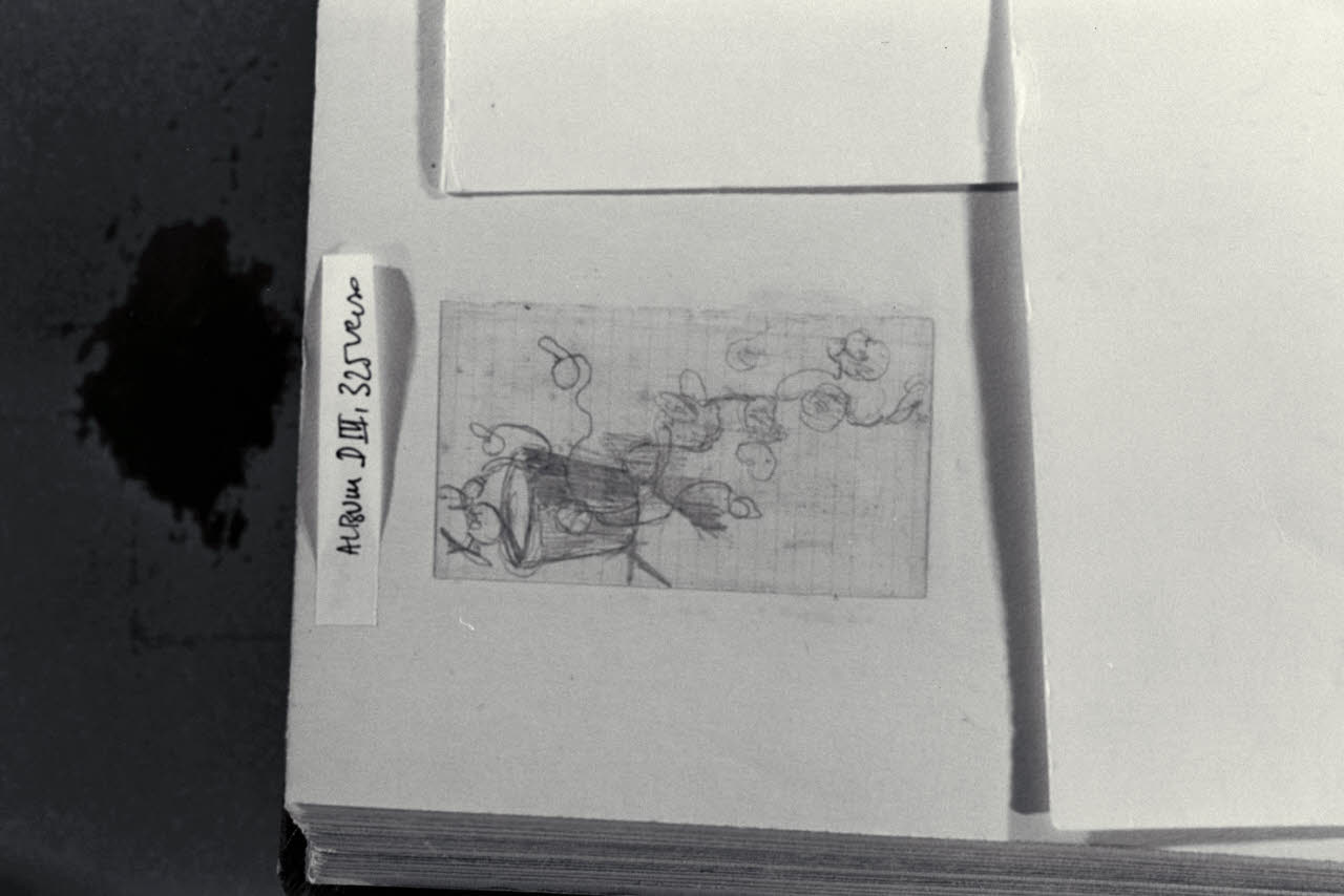 Secchio ed elementi vegetali, Secchio ed elementi vegetali (disegno) di Durini, Alessandro (sec. XIX)