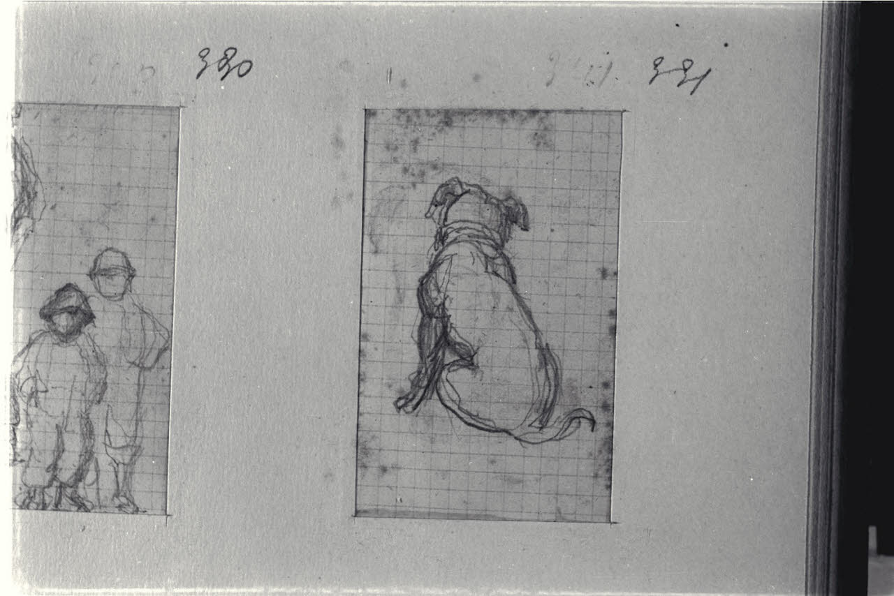 Studio di cane, Studio di cane (disegno) di Durini, Alessandro (sec. XIX)