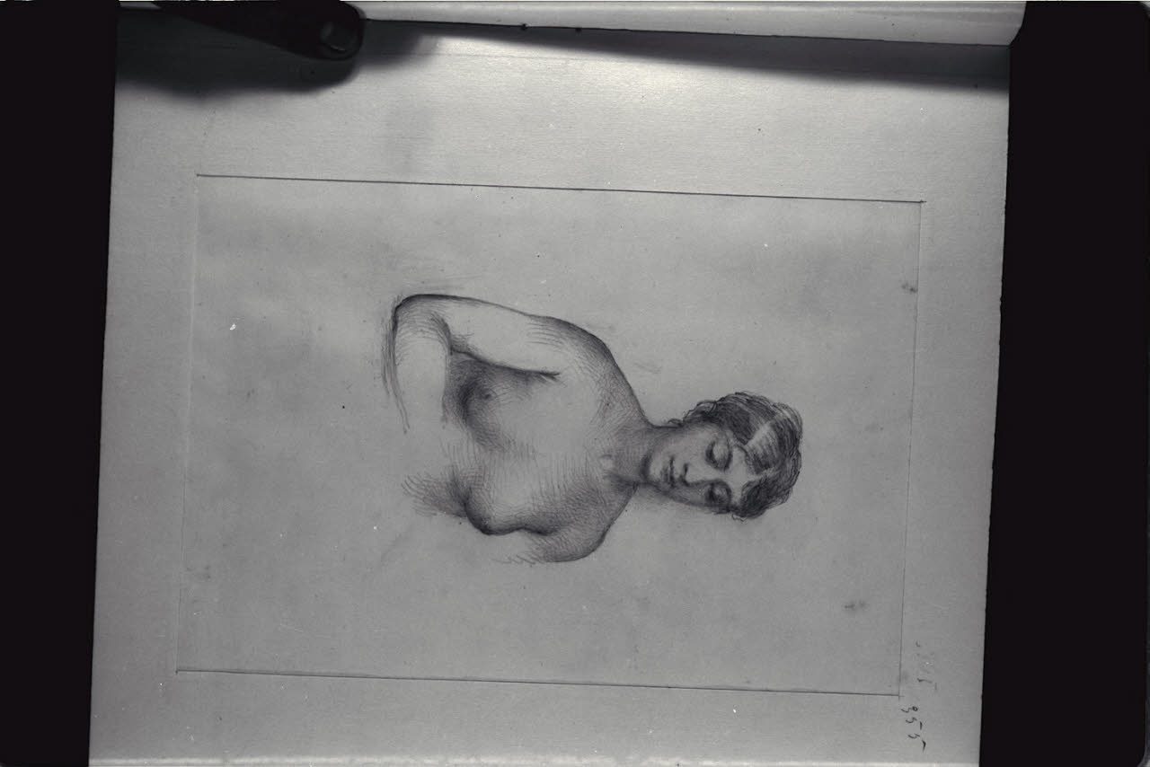 Nudo femminile a mezzo busto, Nudo femminile a mezzo busto (disegno) di Durini, Alessandro (sec. XIX)