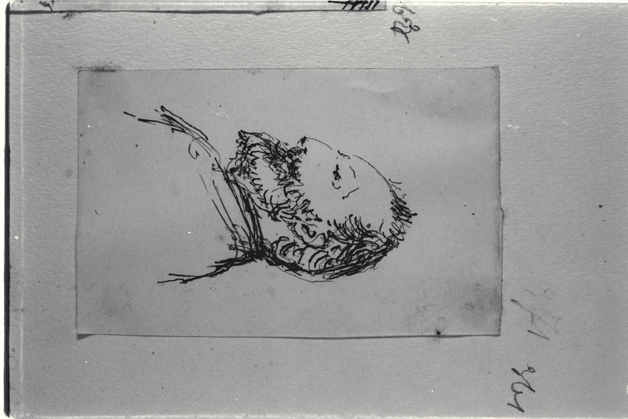 Caricatura maschile di profilo, Caricatura maschile di profilo (disegno) di Durini, Alessandro (sec. XIX)