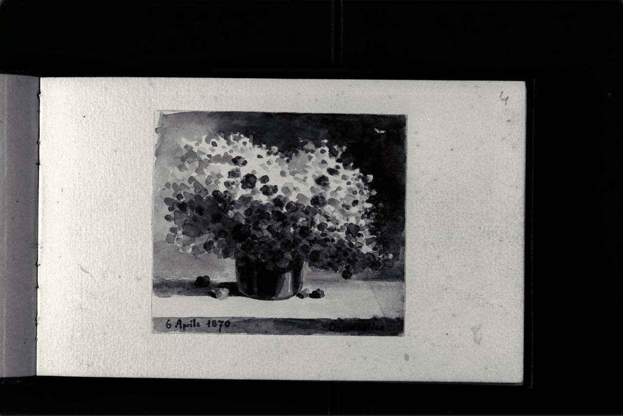 Vaso di fiori (disegno) di Durini, Antonio (sec. XIX)