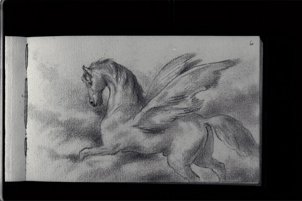 Cavallo alato (disegno) di Durini, Antonio (sec. XIX)