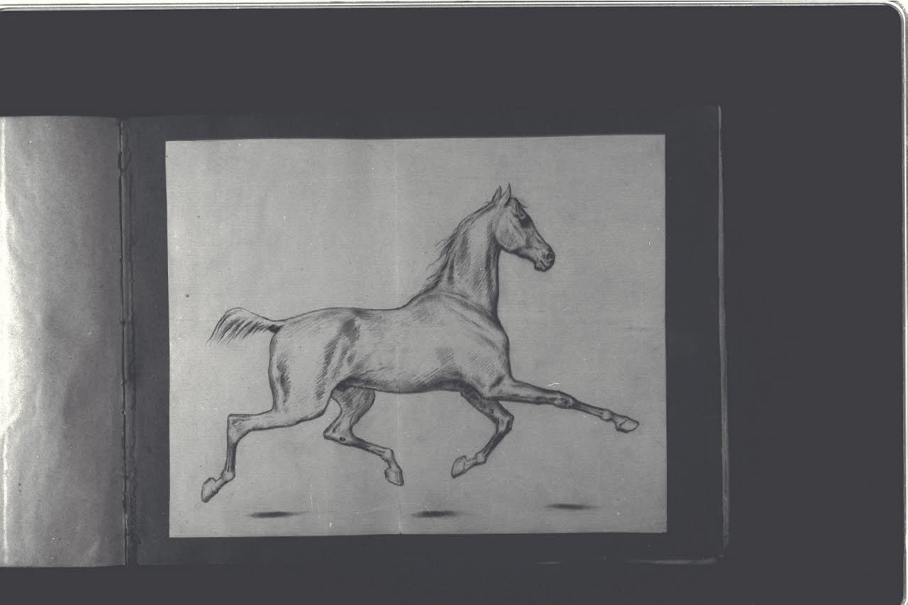 Cavallo al galoppo (disegno) di Durini, Antonio (ultimo quarto sec. XIX)