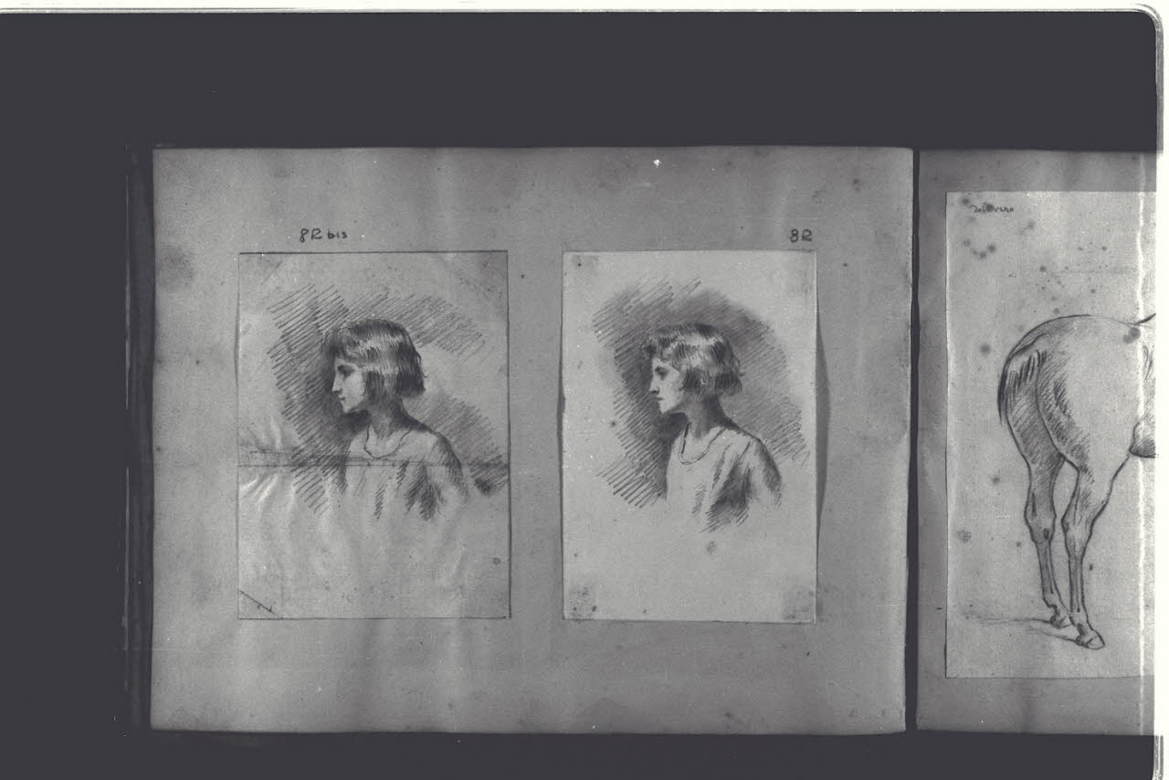 Fanciulla a mezzobusto di profilo (disegno) di Durini, Antonio (ultimo quarto sec. XIX)