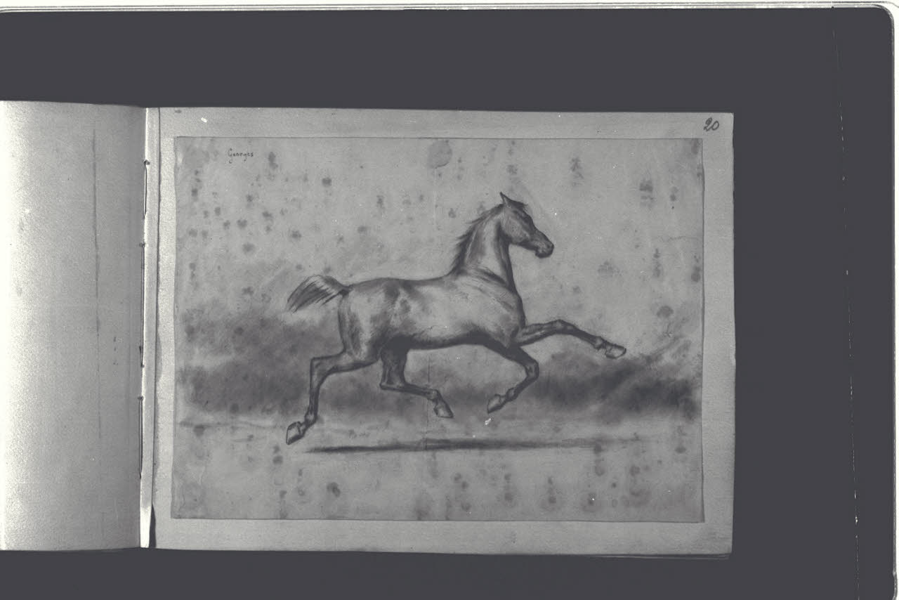 Cavallo al galoppo (disegno) di Durini, Antonio (ultimo quarto sec. XIX)