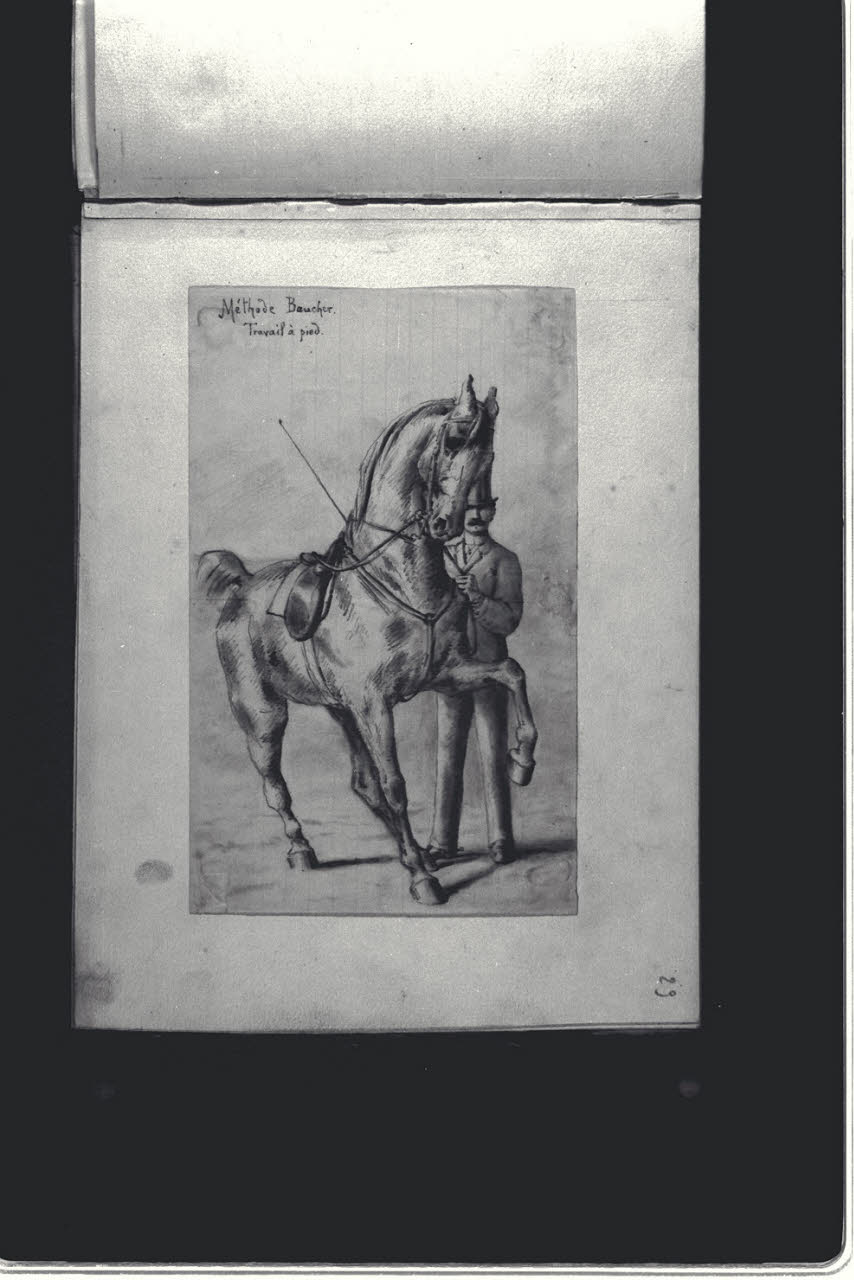 Uomo e cavallo (Méthode Baucher. Travail à pied) (disegno) di Durini, Antonio (ultimo quarto sec. XIX)