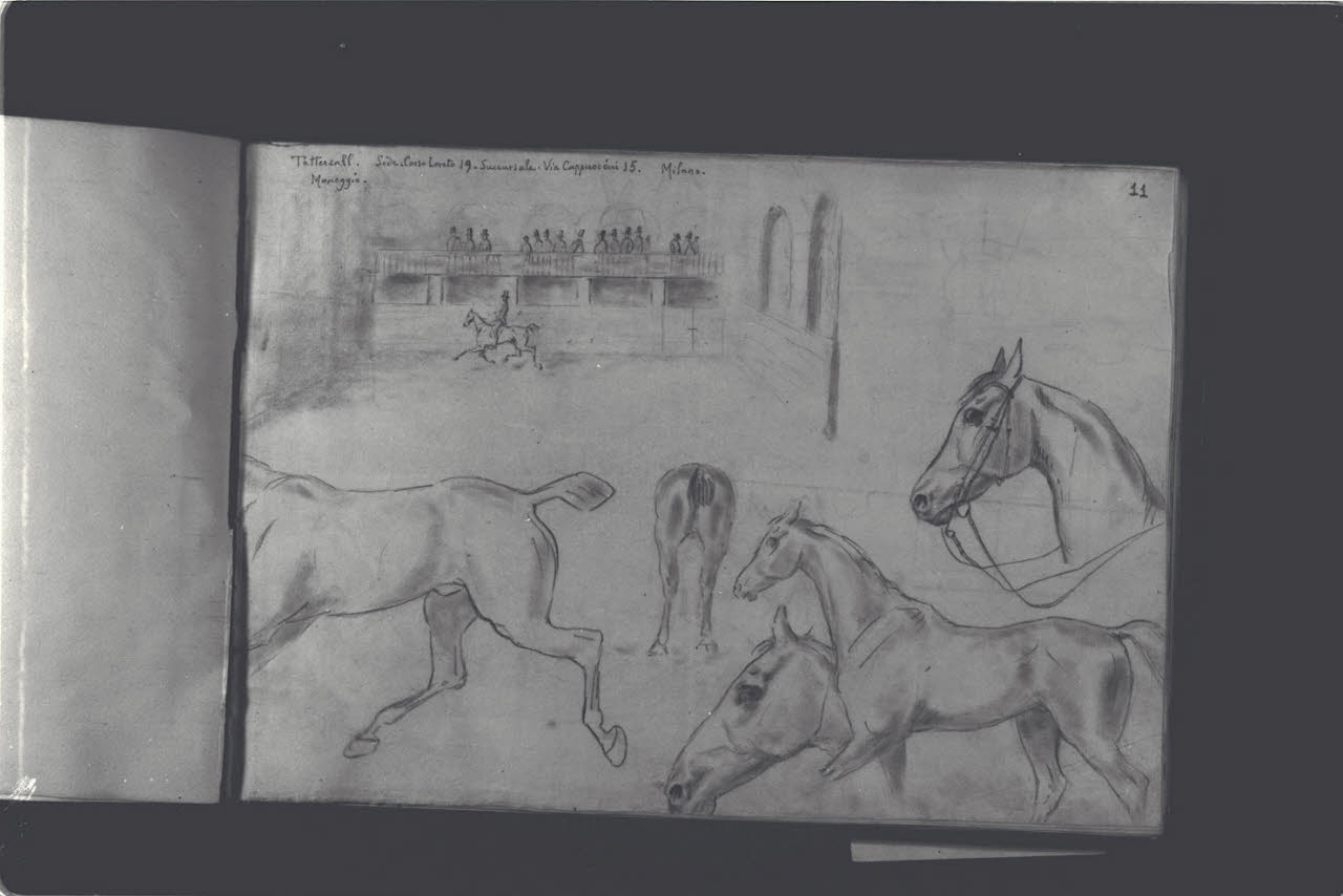 Maneggio (disegno) di Durini, Antonio (ultimo quarto sec. XIX)