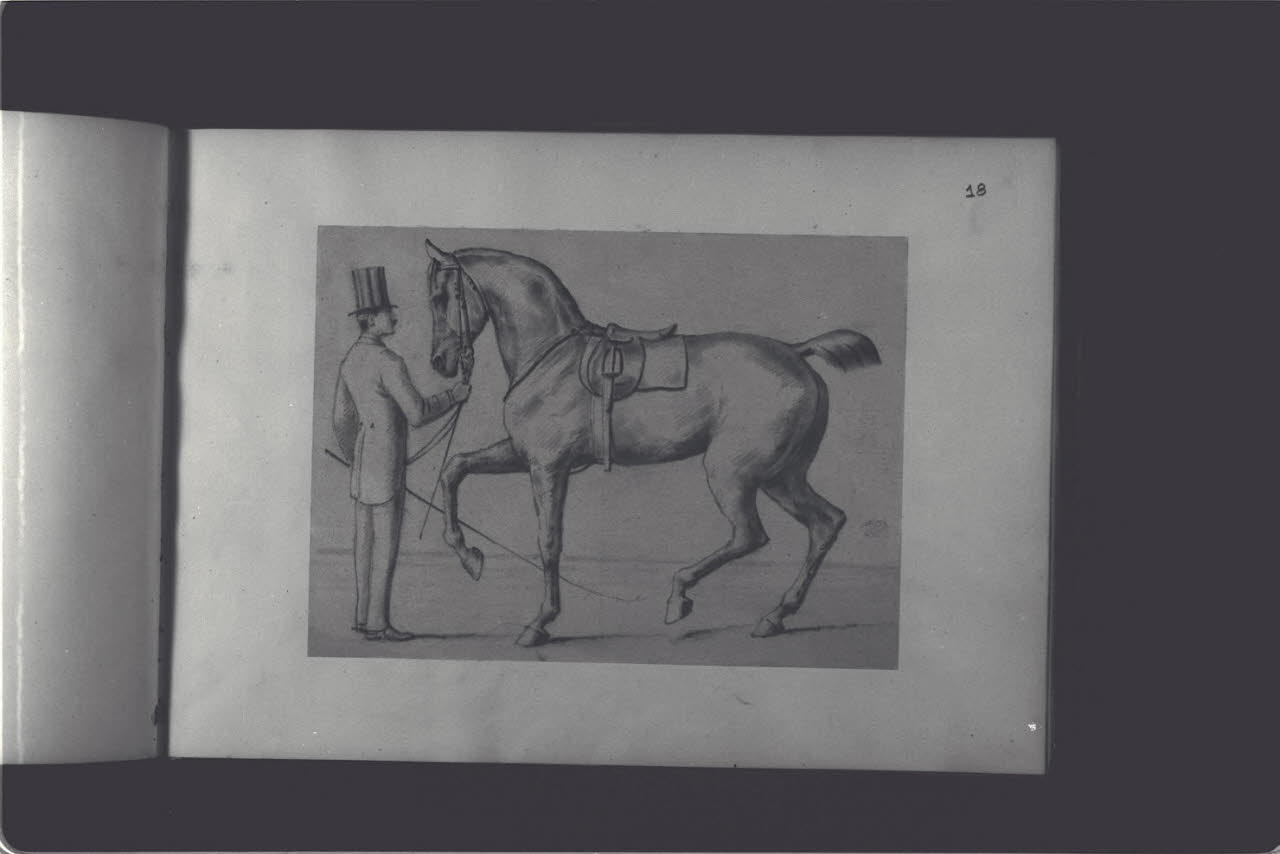 Gentiluomo con cavallo (disegno) di Durini, Antonio (ultimo quarto sec. XIX)