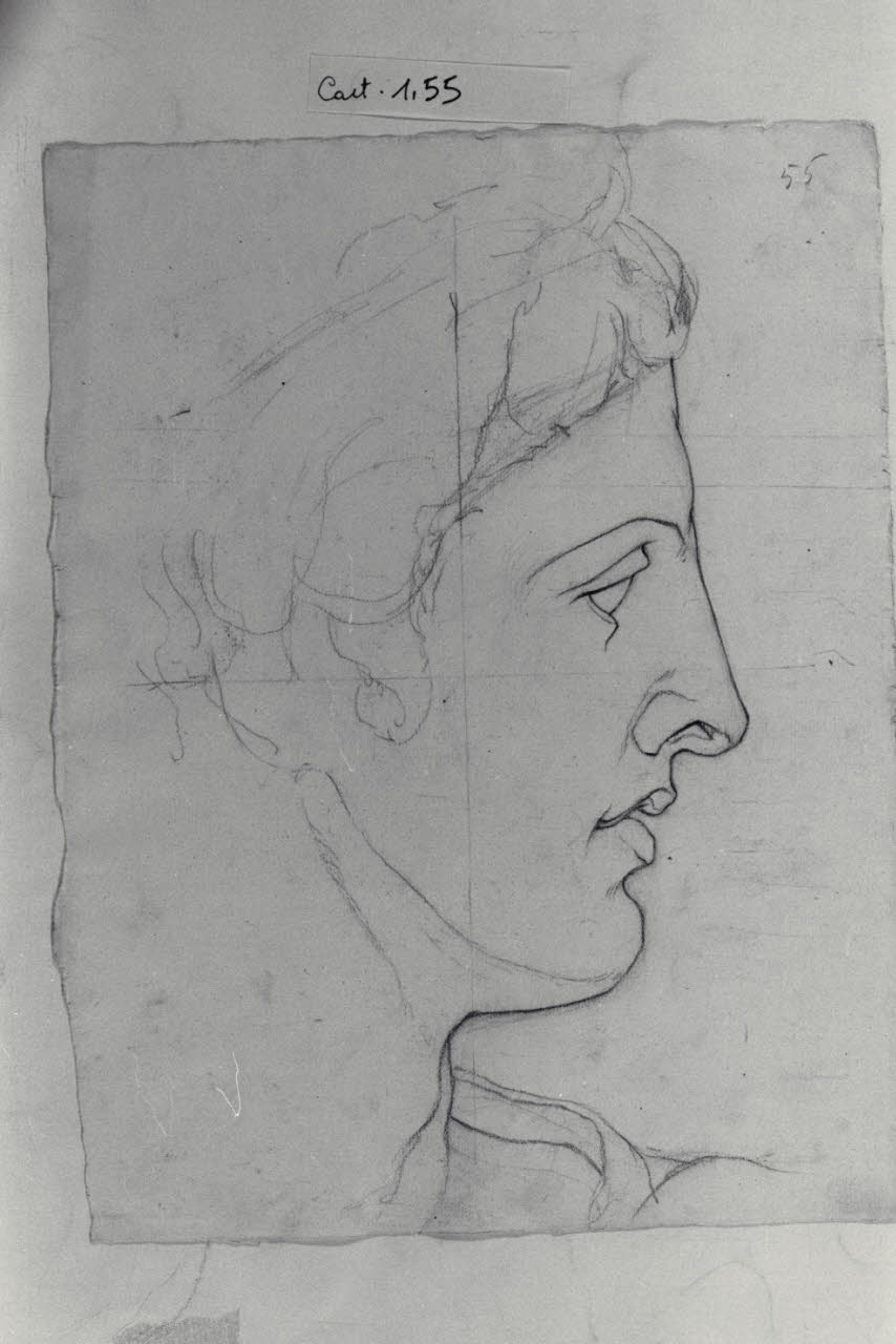 Profilo scultoreo (disegno) di Durini, Antonio (terzo quarto sec. XIX)