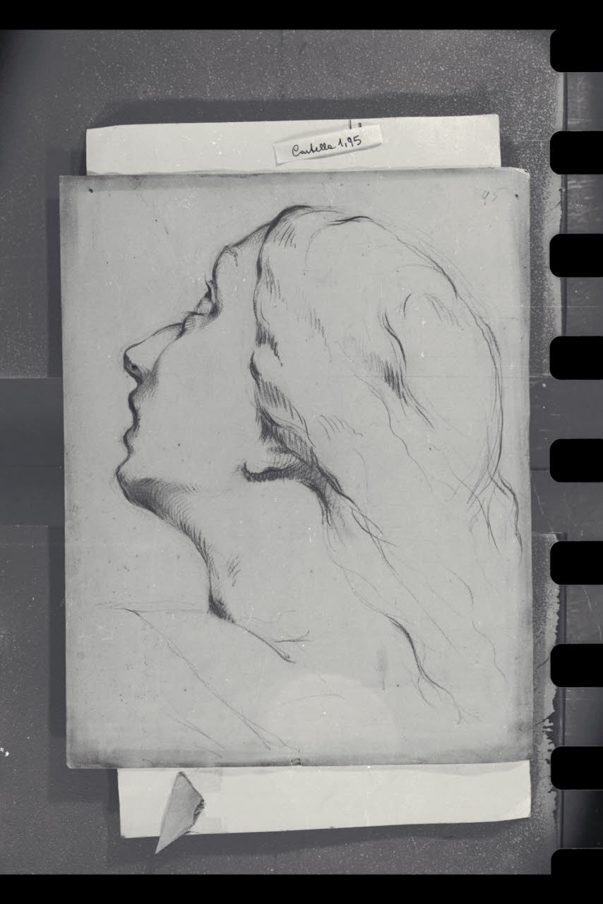 Volto femminile (disegno) di Durini, Antonio (terzo quarto sec. XIX)