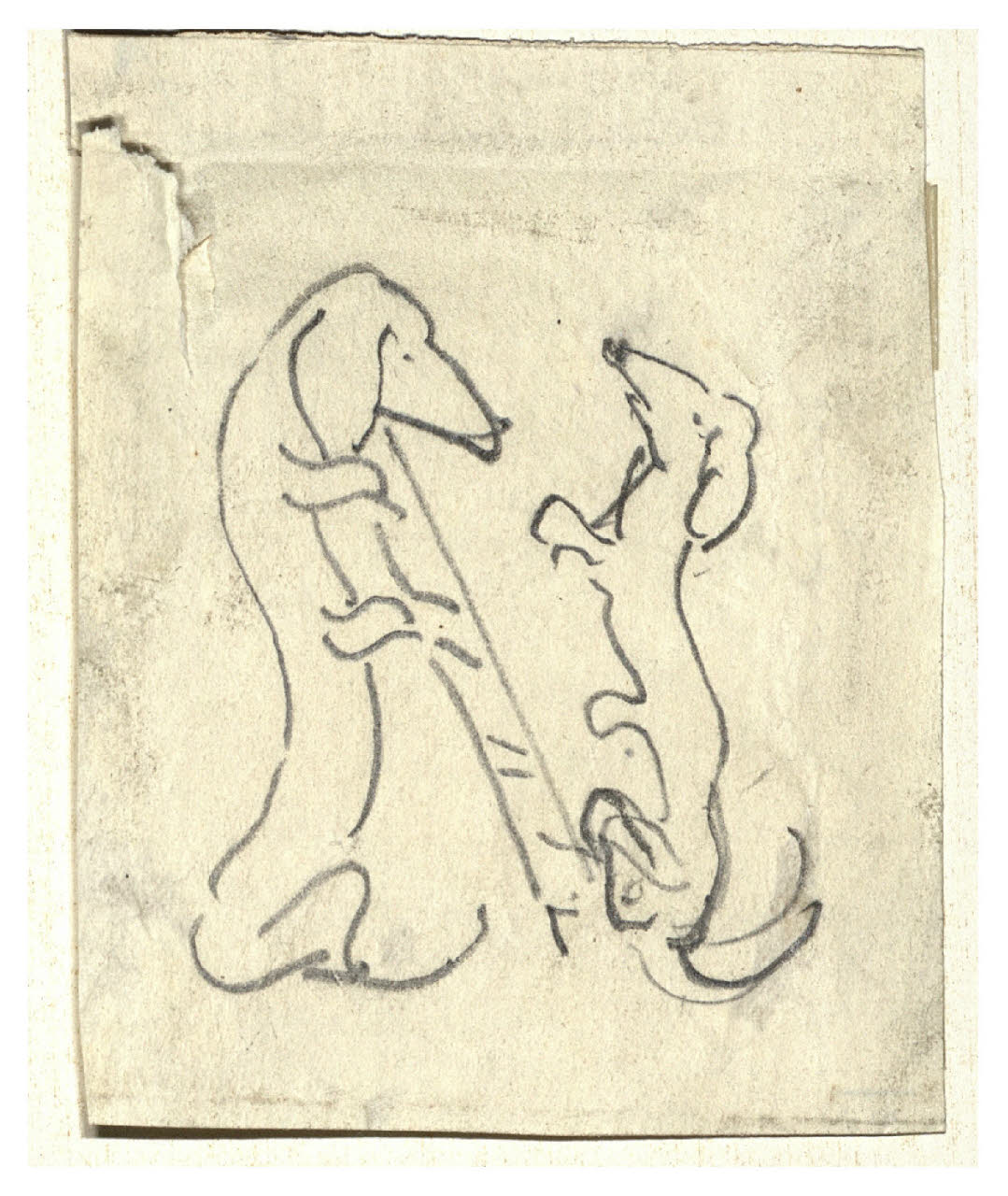 Studi d'iniziali per la testata del giornale "El Can de la Scala", Studi d'iniziali (disegno) di Cagnoni, Amero (secc. XIX/ XX)