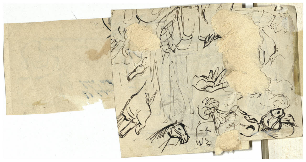 Schizzi di figura, mani e di testa di cavallo, Schizzi di figura, mani e di testa di cavallo (disegno) di Cagnoni, Amero (secc. XIX/ XX)