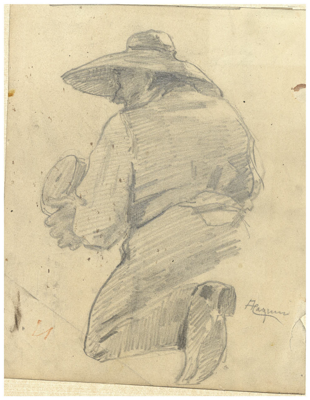 Studio di giardiniere, Giardiniere (disegno) di Cagnoni, Amero (secc. XIX/ XX)