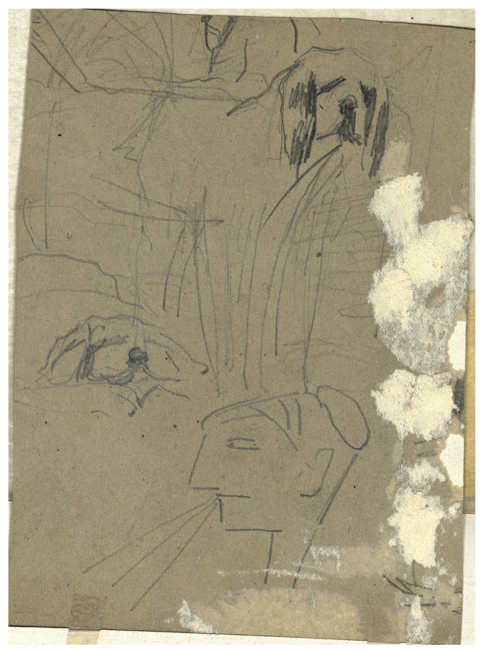 Schizzi di cane, testa femminile caricaturale, Schizzi di cane, testa femminile caricaturale (disegno) di Cagnoni, Amero (secc. XIX/ XX)