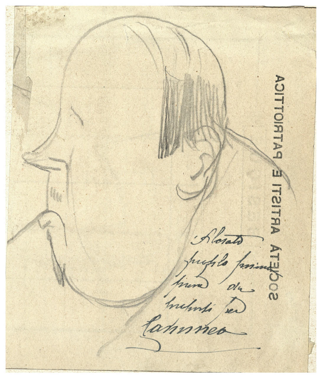 Caricatura del pittore Ambrogio Alciati, Caricatura di testa maschile di profilo (disegno) di Cagnoni, Amero (secc. XIX/ XX)