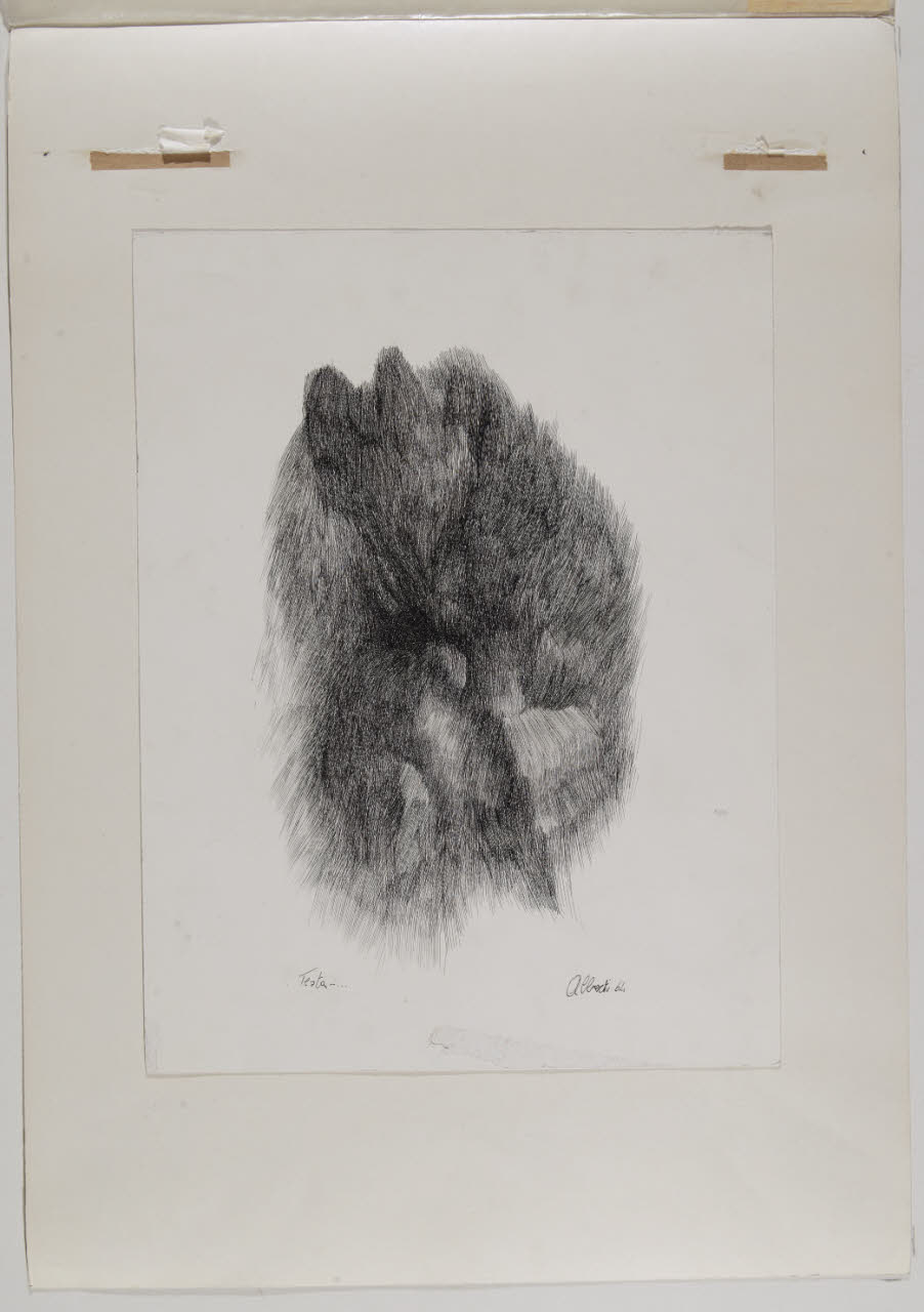 Testa (disegno) di Alberti, Nicola (sec. XX)