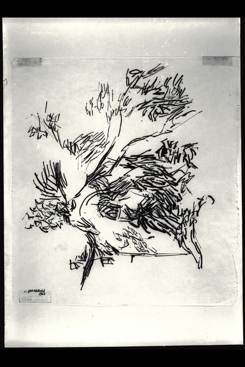 Composizione (albero?) (disegno) di Granaroli, Claudio (sec. XX)