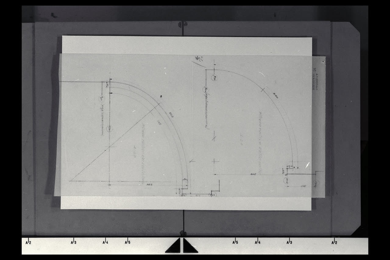 Due sezioni del rilievo rustico della volta e dei costoloni nella Nuova Pinacoteca Vaticana (disegno) di Beltrami, Luca (sec. XX)