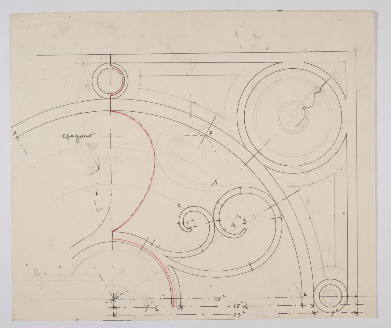 Dettaglio per una decorazione dei velari della sala Raffaello nella Nuova Pinacoteca Vaticana (disegno) di Beltrami, Luca (sec. XX)