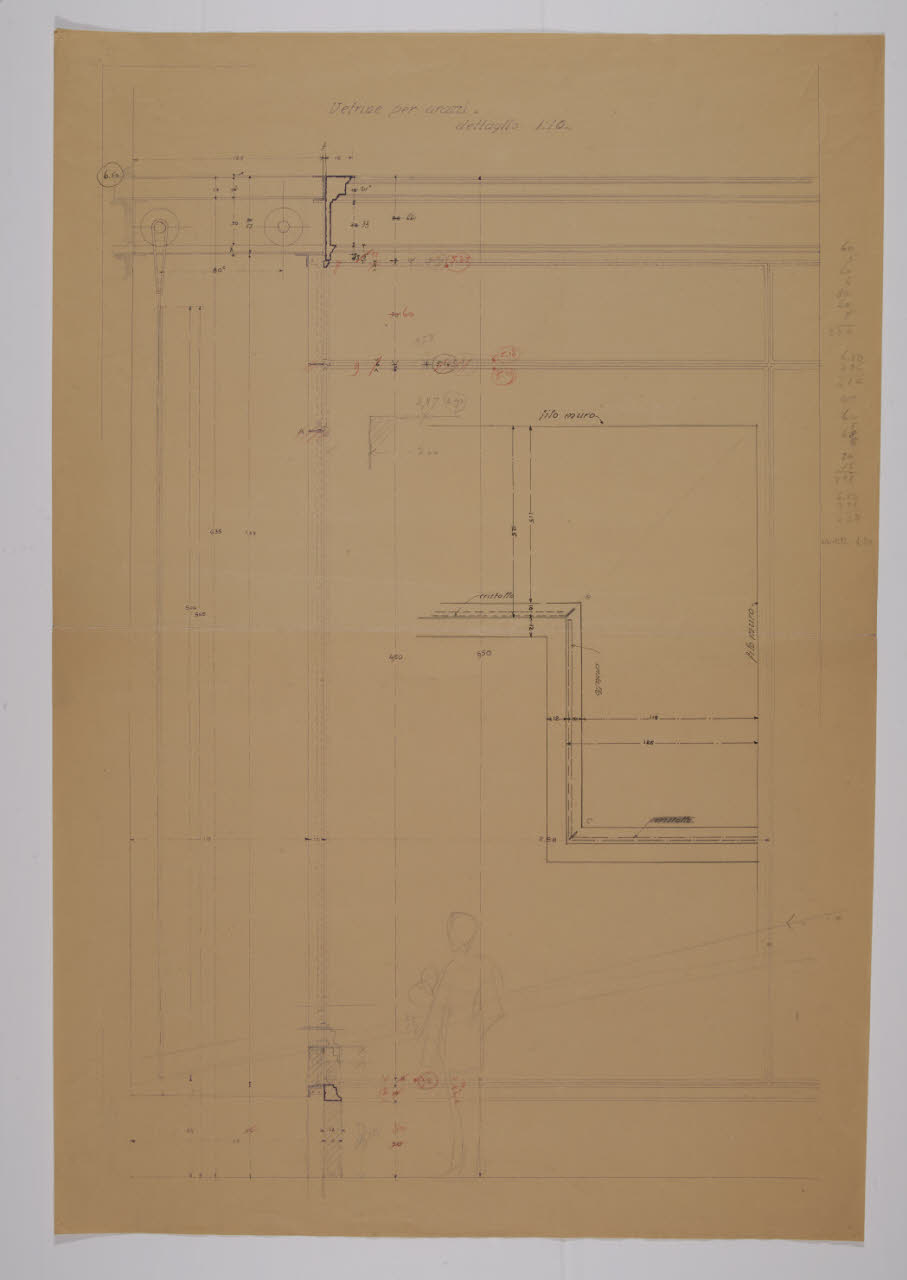 Dettaglio per le vetrine della sala degli Arazzi di Raffaello nella Nuova Pinacoteca Vaticana (disegno) di Beltrami, Luca (sec. XX)