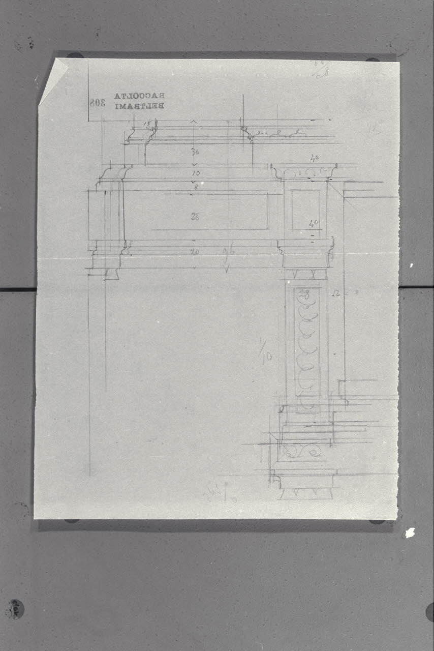 Alzato incompleto di una modanatura della Galleria nella Nuova Pinacoteca Vaticana (disegno) di Beltrami, Luca ((?)) (sec. XX)