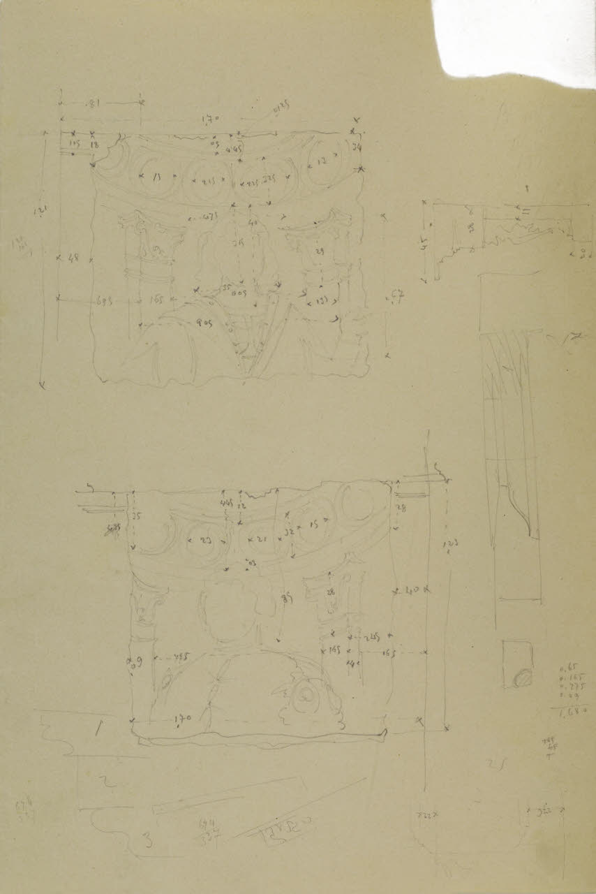 Rilievo della decorazione della Sala degli uomini d'arme di Bramante, Rilievo della decorazione della Sala degli uomini d'arme di Bramante (disegno) di Beltrami, Luca (fine/inizio secc. XIX/ XX)