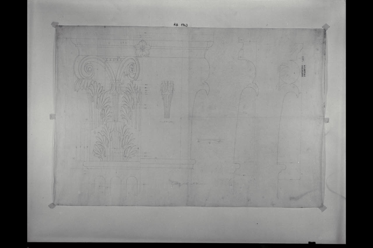Capitello corinzio. Prospetto e sezione, Capitello corinzio. Prospetto e sezione (disegno) di Beltrami, Luca (fine/inizio secc. XIX/ XX)